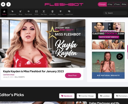 Review screenshot Fleshbot.com