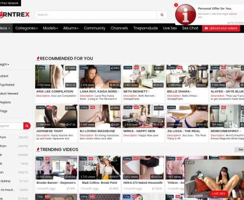 A Review Screenshot of PornTrex