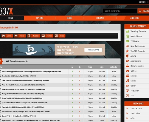 A Review Screenshot of 1337x