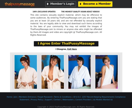 Review screenshot thaipussymassage.com