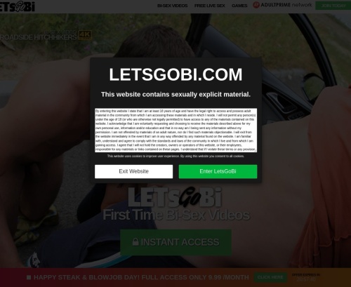 A Review Screenshot of Letsgobi