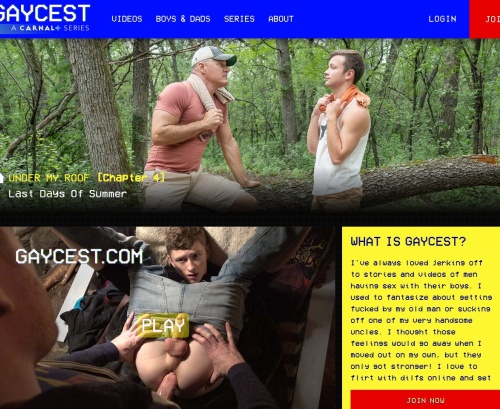 Review screenshot gaycest.com
