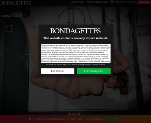 Review screenshot bondagettes.com