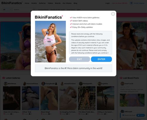 Review screenshot bikinifanatics.com