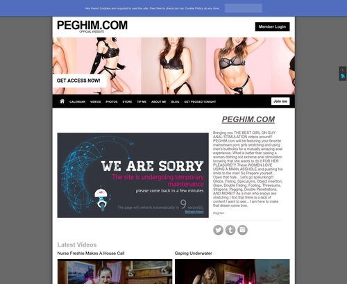 Review screenshot peghim.com