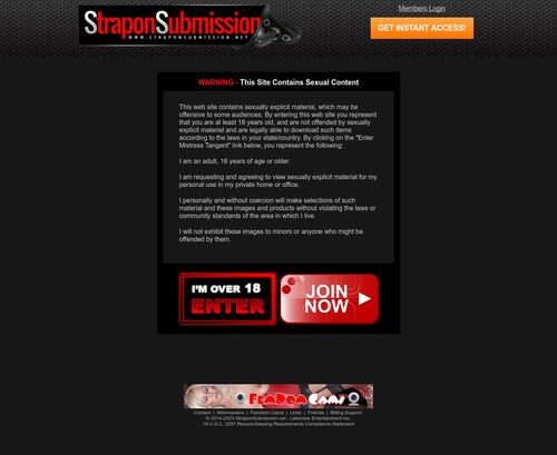 A Review Screenshot of StraponSubmission