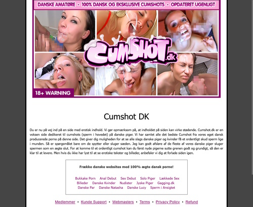 A Review Screenshot of Cumshot