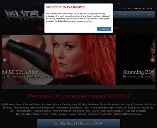 Review screenshot Wasteland.com
