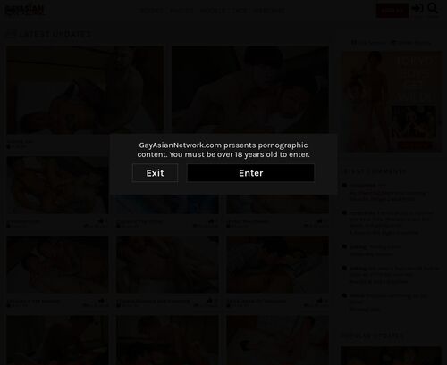 A Review Screenshot of GayAsianNetwork