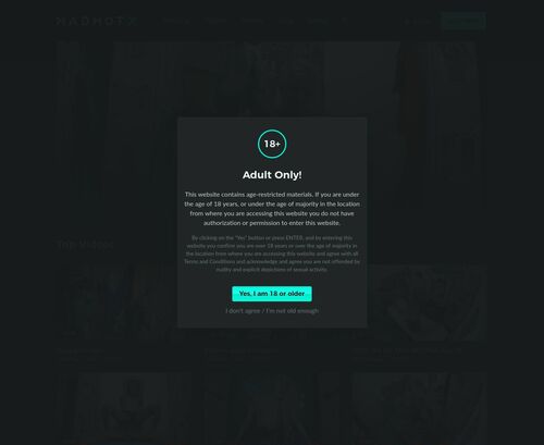 A Review Screenshot of Madhotx