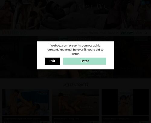 A Review Screenshot of WuBoyz
