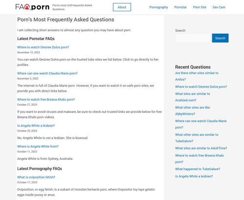 A Review Screenshot of Porn FAQ