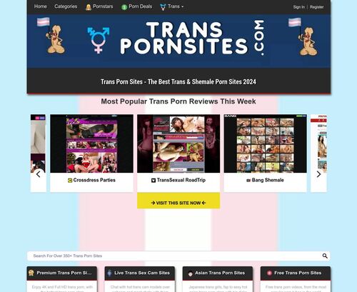 A Review Screenshot of Trans Porn Sites