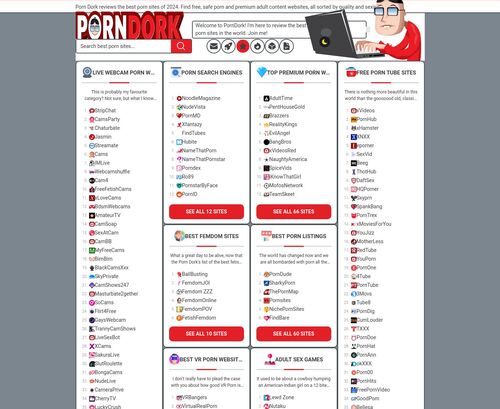 A Review Screenshot of Porndork