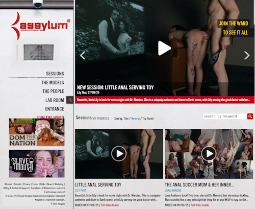 A Review Screenshot of Assylum