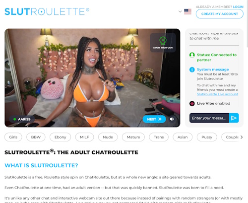 A Review Screenshot of Slutroulette