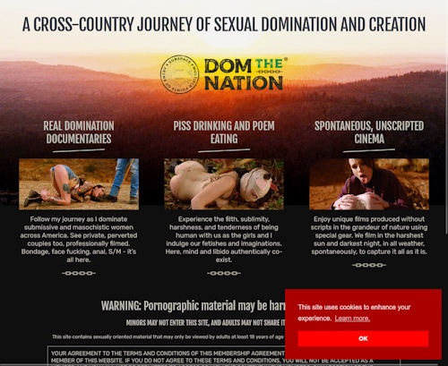 A Review Screenshot of DomTheNation