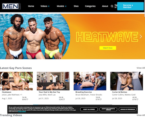 A Review Screenshot of MenNetwork