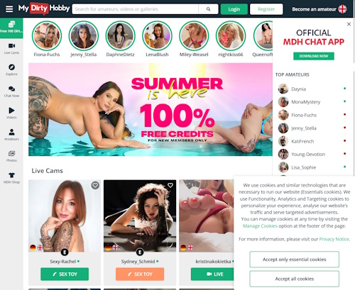 A Review Screenshot of MyDirtyHobby